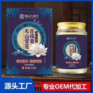 天山雪蓮百痛膏本草保健膏 OEM/ODM貼牌代加工批發定制