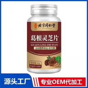 北京同仁堂葛根靈芝片 OEM/ODM貼牌代加工批發定制源頭廠家