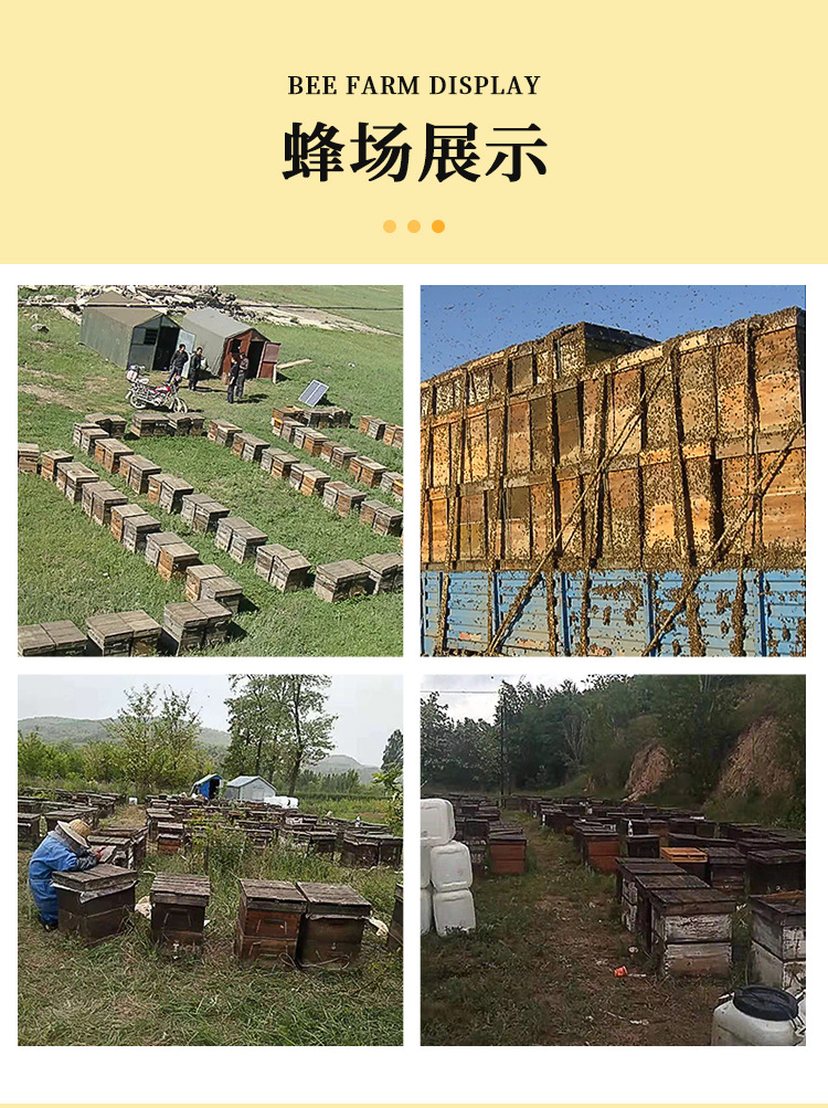 蜂蜜喜蜜批發(fā)百花伴手禮禮盒回禮婚禮創(chuàng)意小瓶28g純蜜創(chuàng)意伴手禮