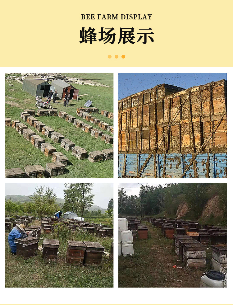 【喜蜜】小包裝蜂蜜伴手禮婚禮六角瓶結婚回禮成品蜜禮山東百花蜜