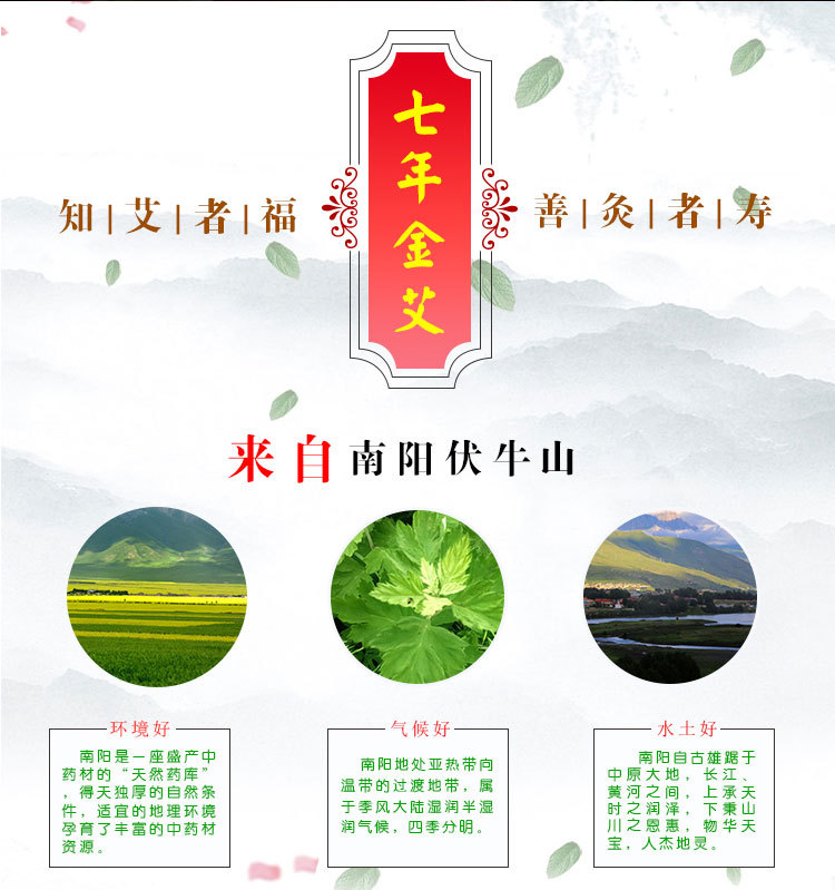 南陽七年黃金艾條艾灸條 廠家艾葉艾絨批發 七年陳艾灸條溫灸保健