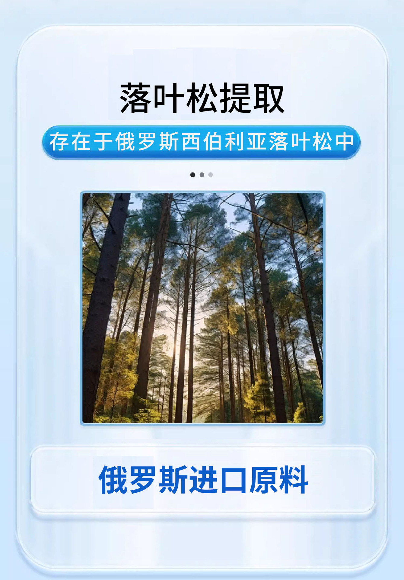 長白山二氫槲皮素貼牌口服液工廠代工俄羅斯進口原料草本飲oem