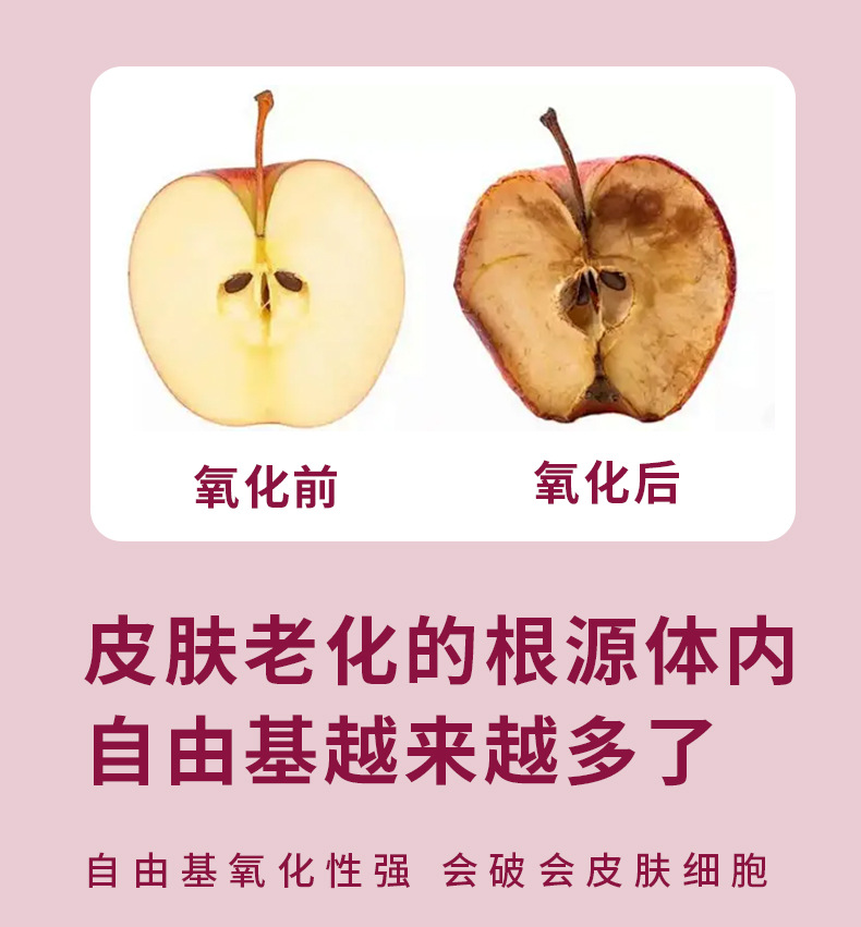 巴西莓粉天然果蔬膳食纖維花青素粉固體飲料凍干粉貼牌定制代加工