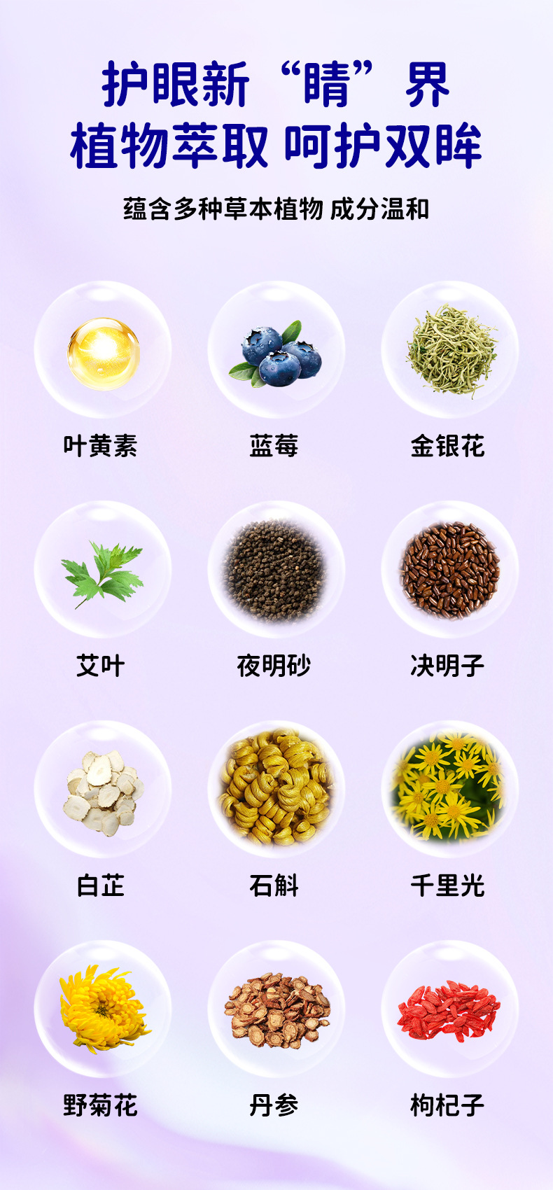 維達熊藍莓葉黃素眼貼 批發艾草眼貼學生家用眼疲勞冷敷眼膜代發