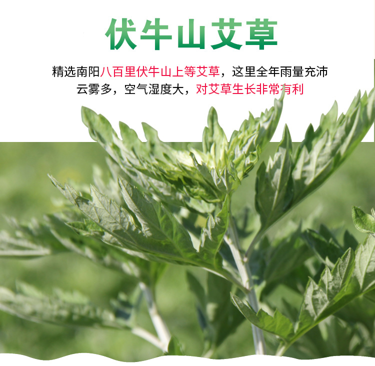 艾立方廠家15比陳年艾絨500g艾灸15比1艾條艾柱用材料艾草保健