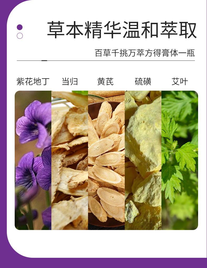 同仁堂紫花地丁膏皮膚外用草本涂抹乳膏紫草膏全家通用止癢紫金膏