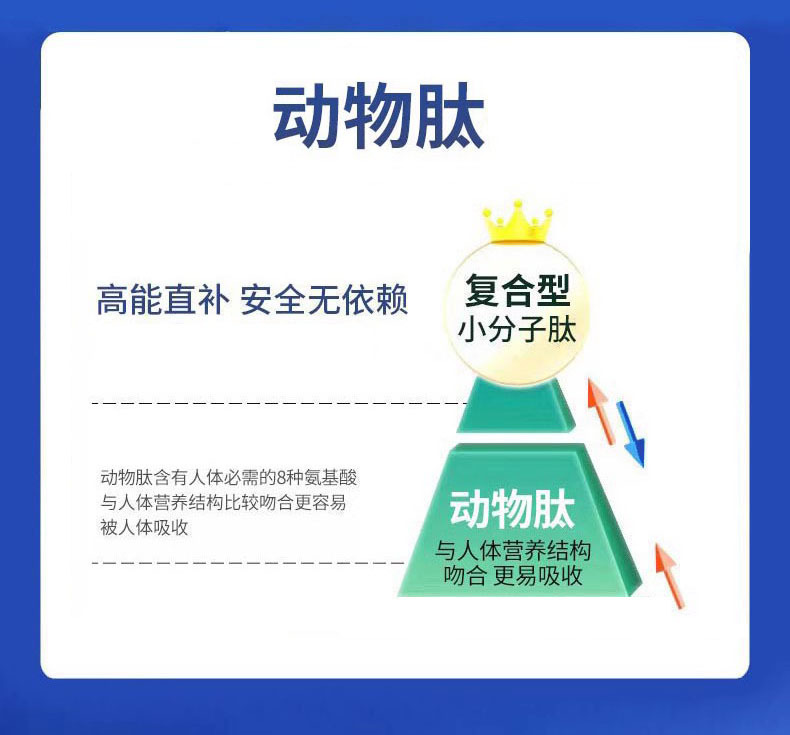 復合小分子膠原蛋白肽粉活性肽動物多肽羊心肽骨膠原蛋白肽高活性