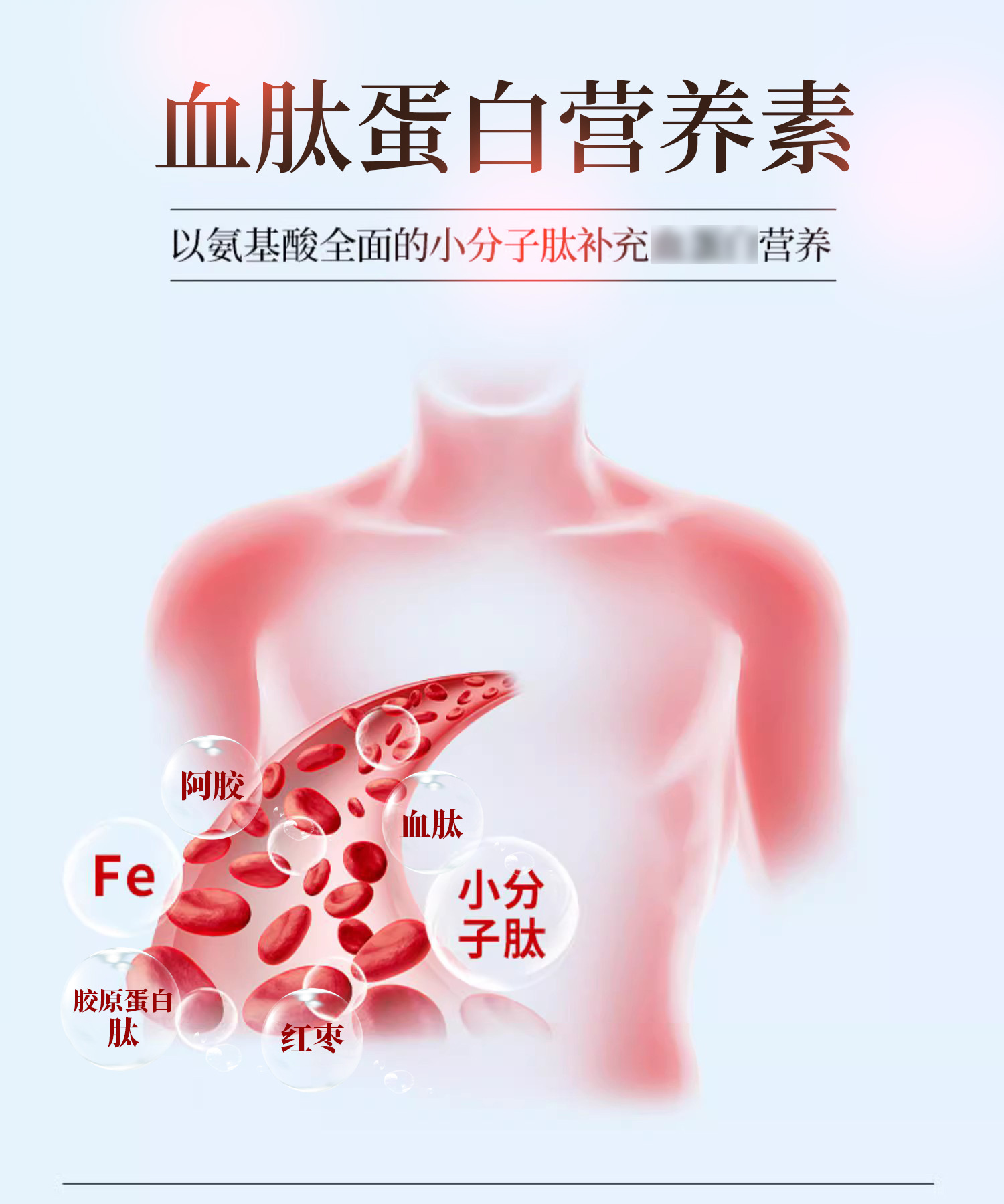 血蛋白肽人參飲品血肽蛋白營養素紅棗阿膠膠原蛋白肽口服液貼牌