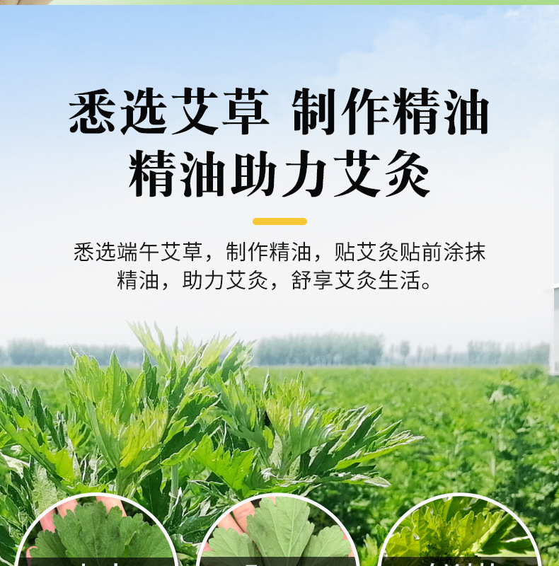 艾艾灸發熱貼 精油熱敷暖貼身體多部位用廠家批發 發熱艾灸貼艾貼