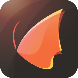 福建網(wǎng)龍計(jì)算機(jī)網(wǎng)絡(luò)信息技術(shù)有限公司